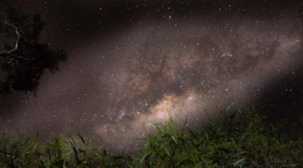 Telle une gigantesque spirale, la Voie lactée flotte dans l'espace. (Image : via Troy Oakes)