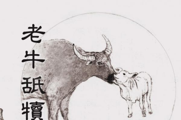 l’expression “la vieille vache chérit son veau” est devenue un proverbe exprimant le sentiment profond de l’amour parental. (The Epoch Times)