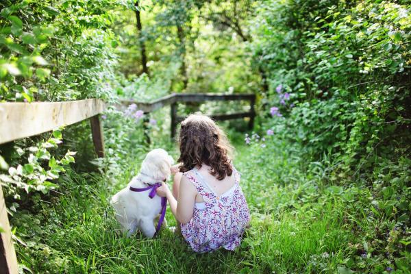 Des études ont démontré que les personnes qui ont un animal de compagnie sont moins sujettes aux problèmes cardiovasculaires pendant les périodes de stress.(Image:pixabay/Plexels)