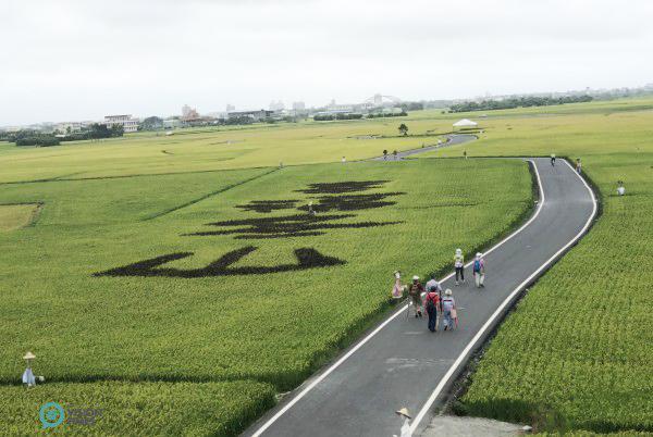Les caractères chinois «良食大道 »  « 幸福冬山» ont été peints le long des deux côtés de l’avenue Mr. Brown.(Image: Billy Shyu / Vision Times)
