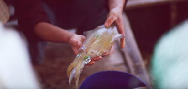 Vous obtenez du poisson frais des petits villages flottants des pêcheurs du coin.(Capture d'écran / YouTube) 