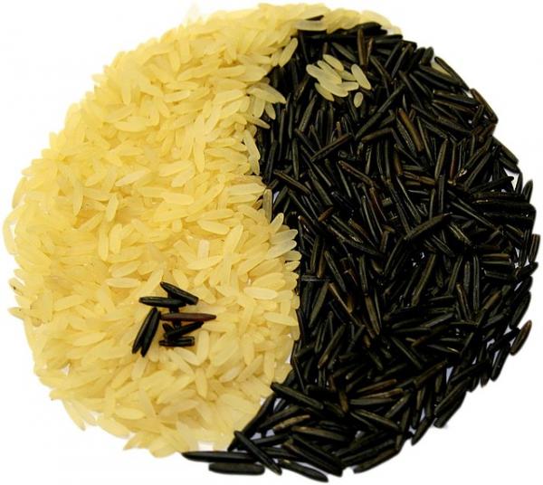 Le Yin-Yang des aliments