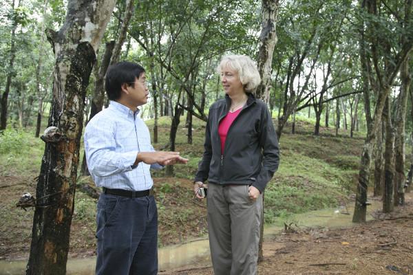 Gretchen Daily, biologiste de Stanford, et Hua Zheng, auteur principal de l'étude, effectuent des recherches sur une plantation conventionnelle à Hainan, en Chine. (Image: Zhiyun Ouyang).