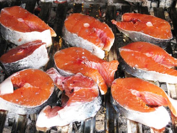 Les États-Unis ont levé  l'interdiction d’importation du saumon génétiquement modifié au Canada (Image : FULVIO_TOGNON/Pixabay)