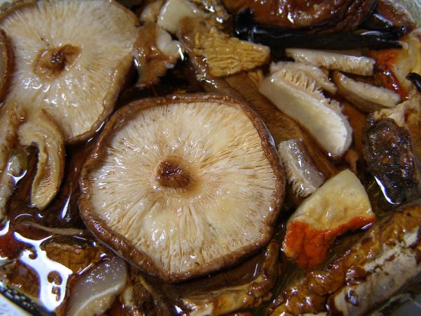 En médecine traditionnelle chinoise, le shiitake est  considéré comme un champignon doux, au goût agréable. (Image : ConnieMWT / Pixabay) 