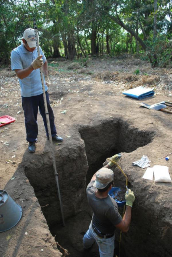 L’acidité des sols et le climat tropical ont fait que la conservation de ces restes organiques s’avère très médiocre ; de ce fait, les chercheurs ont dû fonder leurs conclusions en se basant sur des preuves indirectes –  des analyses géochimiques, principalement - plutôt que sur des preuves directes comme des artéfacts archéologiques (Image : Jose Capriles)