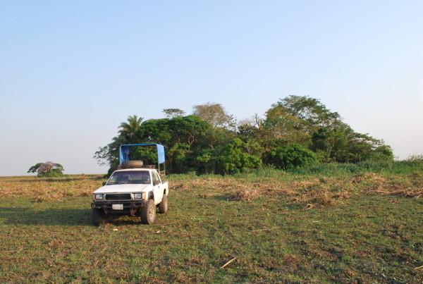 L'équipe archéologique a mené son étude sur trois îles forestières de la savane inondée des Llanos de Moxos au nord de la Bolivie - Isla del Tesoro, La Chacra et San Pablo.  (Image : Jose Capriles)