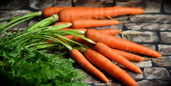 La carotte peut réguler le transit intestinal; elle est  riche en β-carotène, qui neutralise les toxines. (Image: Congerdesign / Pixabay)