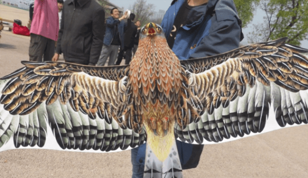 Initialement , les cerfs-volants étaient utilisés par l'armée à des fins de renseignement et d'attaque. (Image: Capture / YouTube)