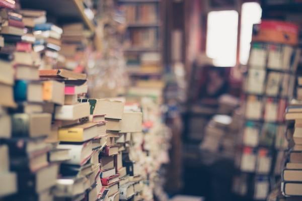 La bibliothèque personnelle de Lee comptait plus de 2 500 livres. (Photo : Pixabay/CCO 1.0)