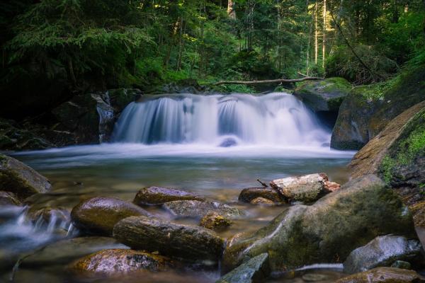 Omniprésente sur terre, l’eau occupe 70% de la surface terrestre. Les deux tiers de notre corps sont constitués d’eau.