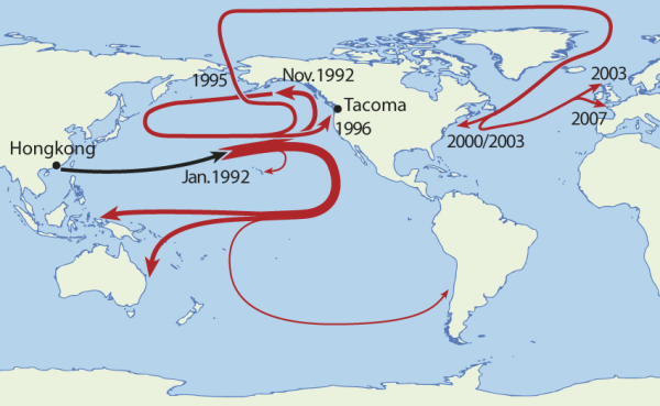 Vortex de déchets du Pacifique Nord. Il est constitué de déchets en lien avec l’impact de l’activité humaine. Il forme ce qu’on appelle le septième continent et est aussi connu sous le nom de «soupe de plastique», ou «grande zone d’ordures du Pacifique». (wikimedia : NOAA / Domaine public]