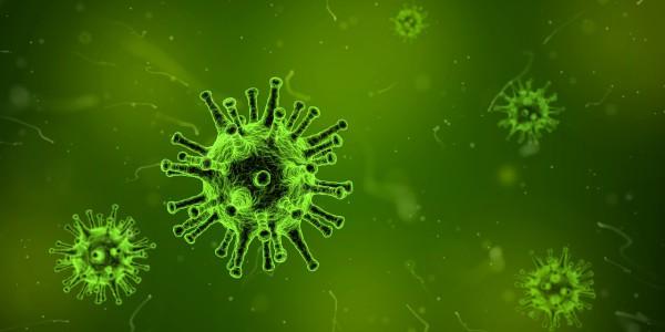 Le Wuhan-400 est unique en ce sens que le virus n’infecte que les humains. (Image : pixabay / CC0 1.0)  