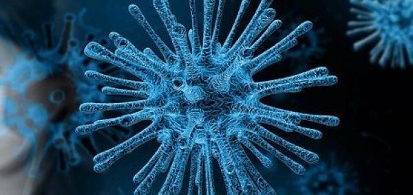 Plus de 1 000 personnes sont mortes du coronavirus rien qu’en Chine. (Image : Gerd Altmann / Pixabay)