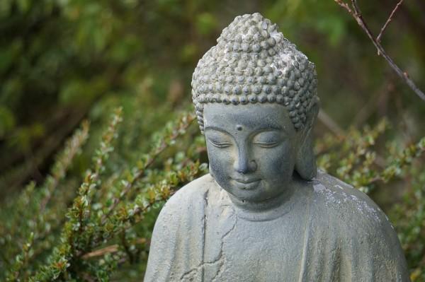 Dans l’école de Bouddha, on pense que la colère, les sentiments négatifs et les mots produisent le karma, une substance noire. (Image : pixabay / CC0 1.0)
