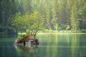 Proverbe chinois : Là où l’eau coule, un canal se formera