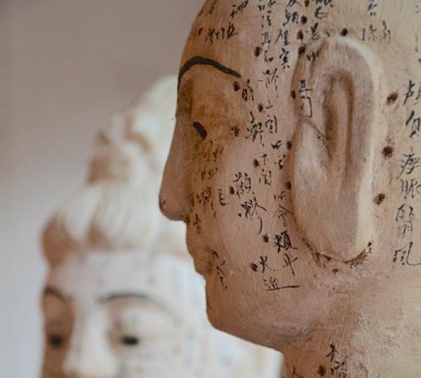 Le style d’acupuncture du Dr Tung nécessite un nombre important d’aiguilles en rapport avec les 14 canaux d’acupuncture traditionnels. (Image : Matthias Frank / Pixabay)