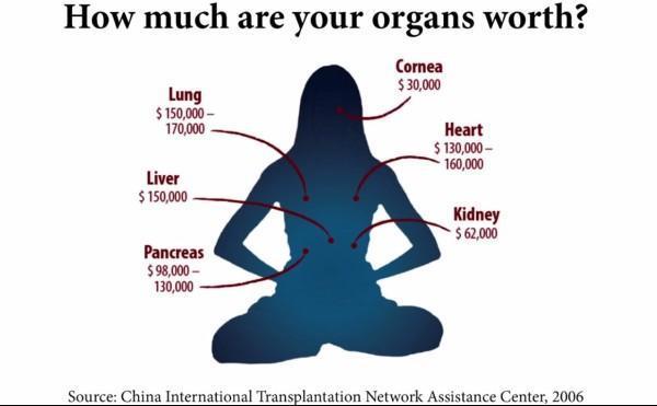 L’une des images de diapositives utilisées dans une conférence TEDx sur le prélèvement forcé d’organes en Chine. (Image : TEDx Talks / YouTube / Capture d’écran) 