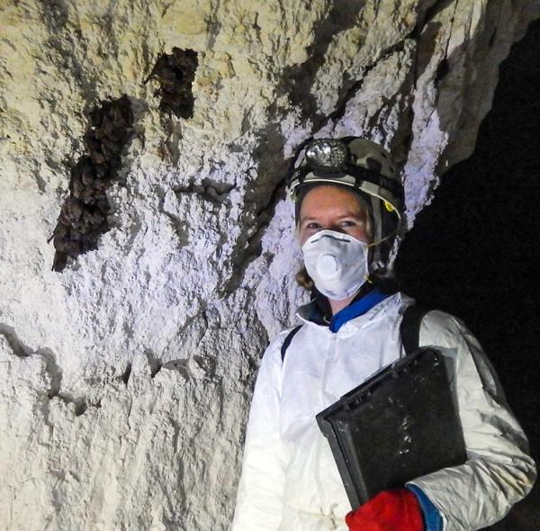 Tara Hohoff surveille les chauves-souris en hibernation dans le sud de l’Illinois durant l’hiver. (Image : Jocelyn Karsk). (Image : Jocelyn Karsk)