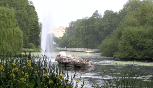 Au XXe siècle, la couverture végétale au Royaume-Uni a atteint 13 %. (Image : Capture d’écran / YouTube)