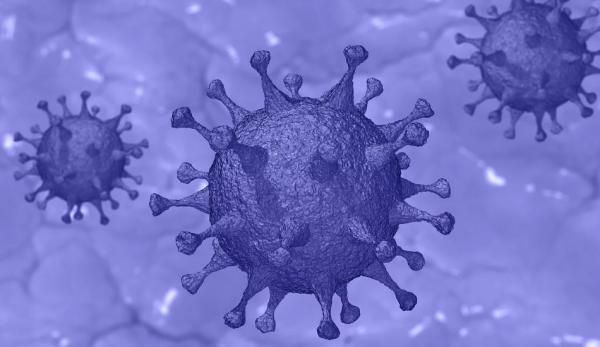 Dans certains des médicaments anti-paludisme qui se sont avérés efficaces contre les virus, on trouve une molécule appelée chloroquine. (Image : pixabay / CC0 1.0)