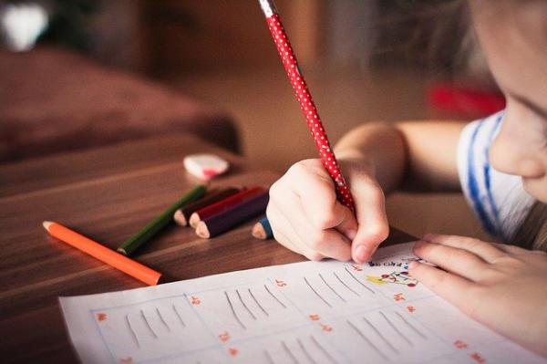 La fermeture des écoles a entraîné un changement d’attitude chez les parents quant à savoir qui devrait être responsable de l’éducation de leurs enfants. (Image : mohamed Hassan / Pixabay)