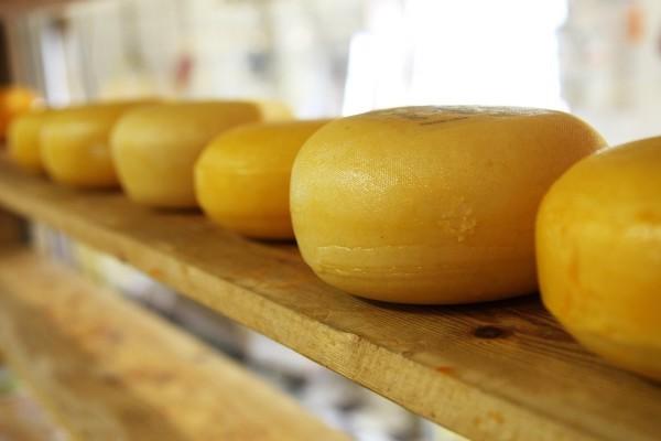 Si vous avez déjà apprécié une tranche de fromage, vous avez apprécié un sous-produit du bio-traitement. (Image : Max Pixel / CC0 1.0)