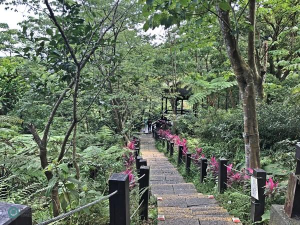 L’un des sentiers de randonnée du parc Tucheng : Tung Blossom à New Taipei City. (Image : Billy Shyu / Vision Times)