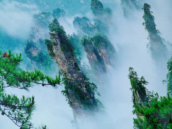 Ils traversent le brouillard, ce qui donne l’impression qu’ils tombent du ciel et ondulent comme des îles flottantes. (Image : Wikimedia / cncs / CC BY-SA)