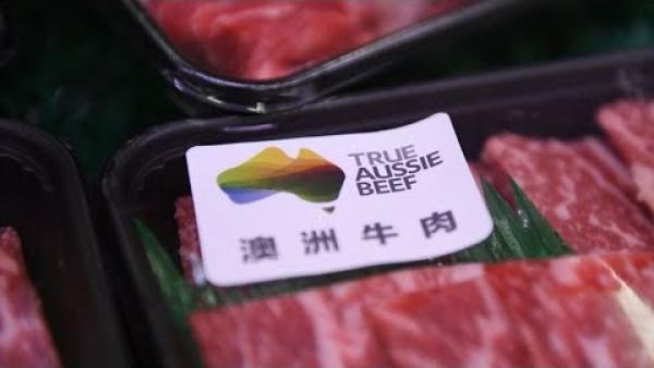 Juste une semaine avant l’annonce du tarif sur l’orge, la Chine a interdit les importations de viande de quatre entreprises australiennes. (Image : Capture d’écran / YouTube)