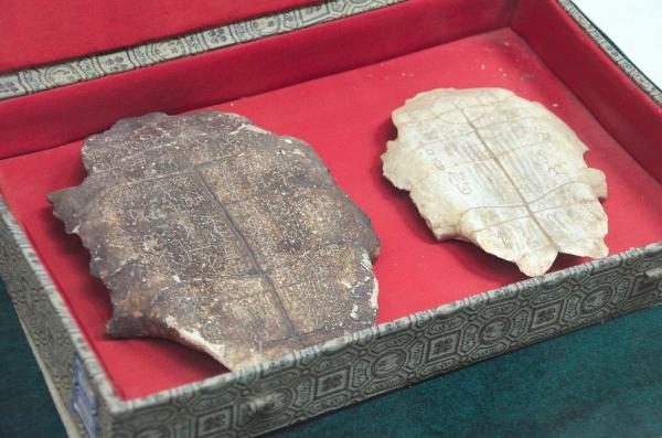 Carapace de tortue datant de la dynastie Shang (-XVIe siècle – -XIe siècle) comportant de l’écriture ossécaille, provenant d’Anyang, Musée de l’imprimerie de Chine. (Image : Wikimedia / Popolon / CC BY-SA)