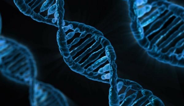 La collecte d’ADN en Chine inquiète les experts. (Image : pixabay / CC0 1.0)