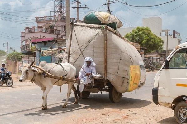 Selon le rapport de l’Oxfam : « Le nombre de personnes au bord de la famine pourrait doubler en 2020 à cause du coronavirus ». (Image : Stephan Westphal / Pixabay)