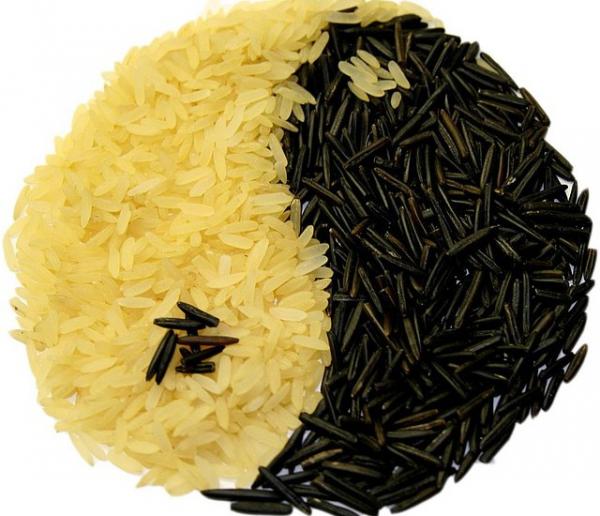 Dans un bol de riz, se trouve un monde de sagesse. (Image : pixabay / CC0 1.0)