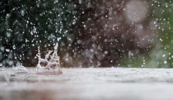 Les toits végétaux peuvent limiter le ruissellement des eaux de pluie. (Image : pixabay / CC0 1.0)