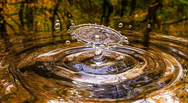 L’eau, source de vie. (Image : Arek Socha / Pixabay) 