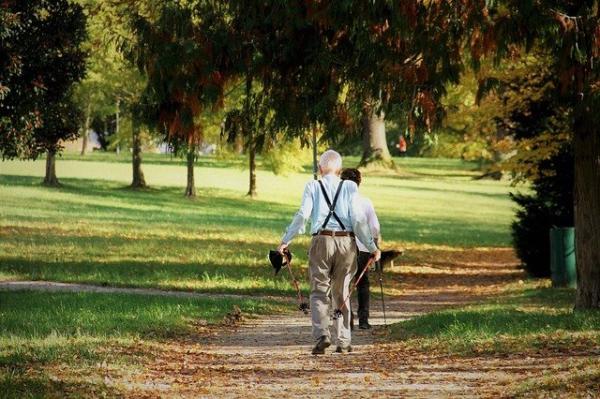 Une marche de 30 minutes en plein air renforce les os.(Image : 5598375 / Pixabay)