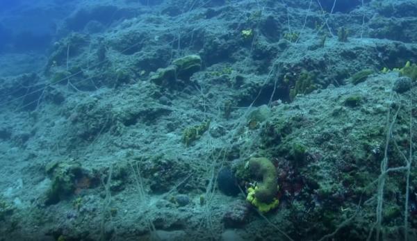 Le chalutage balaie les fonds marins, épuisant les ressources. (Image : Capture d’écran / YouTube)