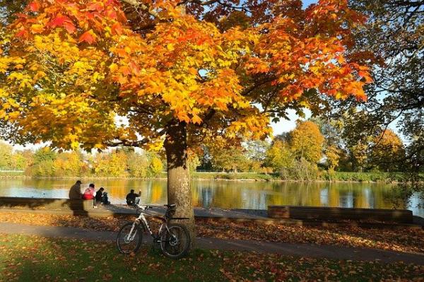 Sortir et contempler cette belle nature sera bénéfique, vous rendra heureux et chassera la tristesse de l’automne. (Image : Hans Braxmeier / Pixabay)