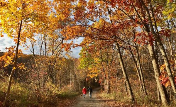 La saison d'automne. (Photo : Shenyunperformingarts.org)