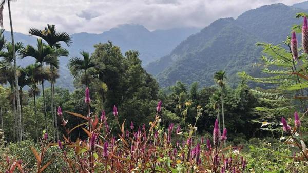 Le sentier historique de Caoling dans le sud de Taiwan est une attraction touristique populaire. (Image : Billy Shyu / Vision Times)