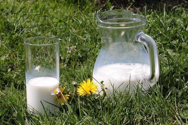 Une carence en vitamine B12 (contenue dans le lait, les œufs, la viande) nécessitera la prise de suppléments alimentaires. (Image : 该图片由 / Myriams-Fotos / 在 / Pixabay / 上发布) 