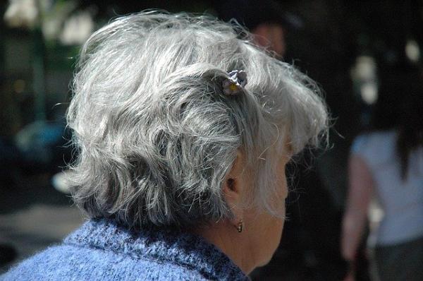 La génétique est à l’origine des cheveux blancs, l’hérédité est la transmission du patrimoine génétique d’une génération présente à la suivante. (Image : 该图片由 / Julia Mirvis / 在 / Pixabay / 上发布) 