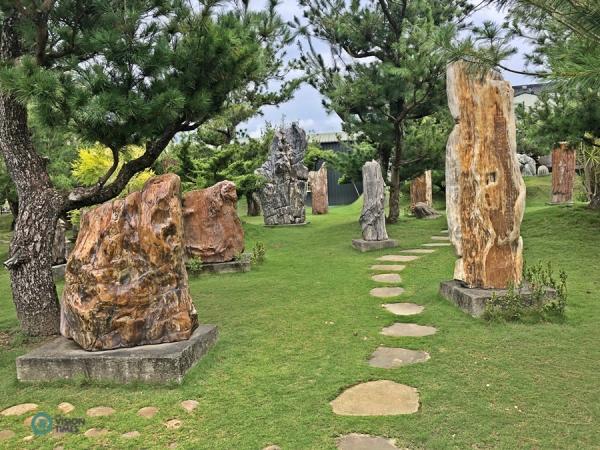 Il existe de nombreuses expositions de bois pétrifié au temple Dazhishan Xuankong. (Image : Billy Shyu / Vision Times)