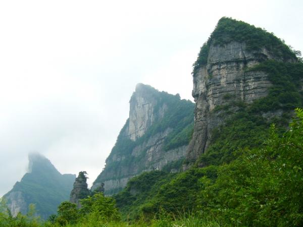 un villageois du nom de Zhicheng Wang, qui vivait au pied de la montagne, ramassait des herbes dans les bois. (Image : wikimédia / Wenchi Jin (jinwenchi@gmail.com) / CC BY-SA 4.0)