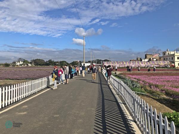 Le festival des fleurs de mesona est le seul du genre au monde. Il est très populaire dans le nord de Taiwan. (Image: Billy Shyu / Vision Times)