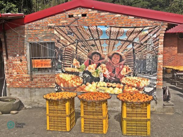 La ferme de loisirs pour plaqueminier, ou kaki, de Weiweijia est l’une des fermes de kaki les plus populaires du nord de Taiwan. (Image : Julia Fu / Vision Times)