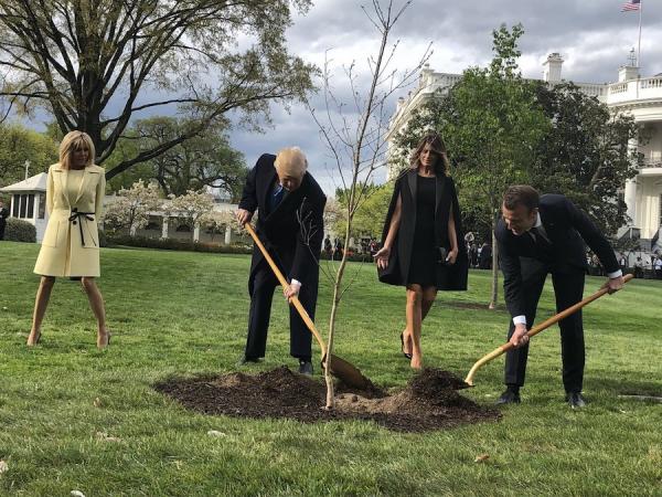 Le président Donald Trump et la première dame Melania, le président Emmanuel Macron et son épouse Brigitte, plantent un arbre à la Maison Blanche au début de la première visite officielle du leader français à Washington, le 23 avril 2018. (Image : wikimedia / Steven L. Herman / Domaine public)