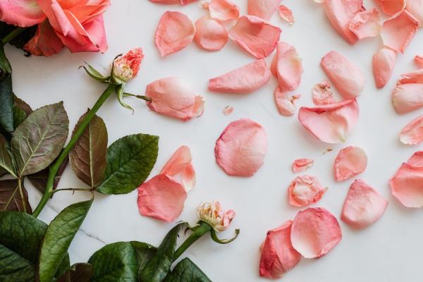  Les pétales de rose présentent de nombreux bienfaits pour la santé. Elles peuvent apaiser le foie et réguler le qi, ce qui contribue à des sentiments positifs. (Image : Karolina Grabowska / Pexels)