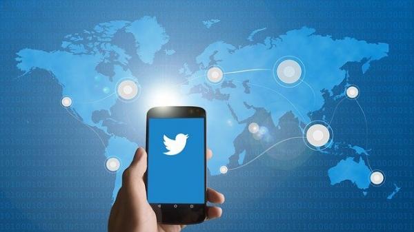 Le gouvernement central de New Delhi accuse les utilisateurs de Twitter de diffuser de la propagande en incitant les gens à commettre des actes de violence. (Image : Edar / Pixabay)